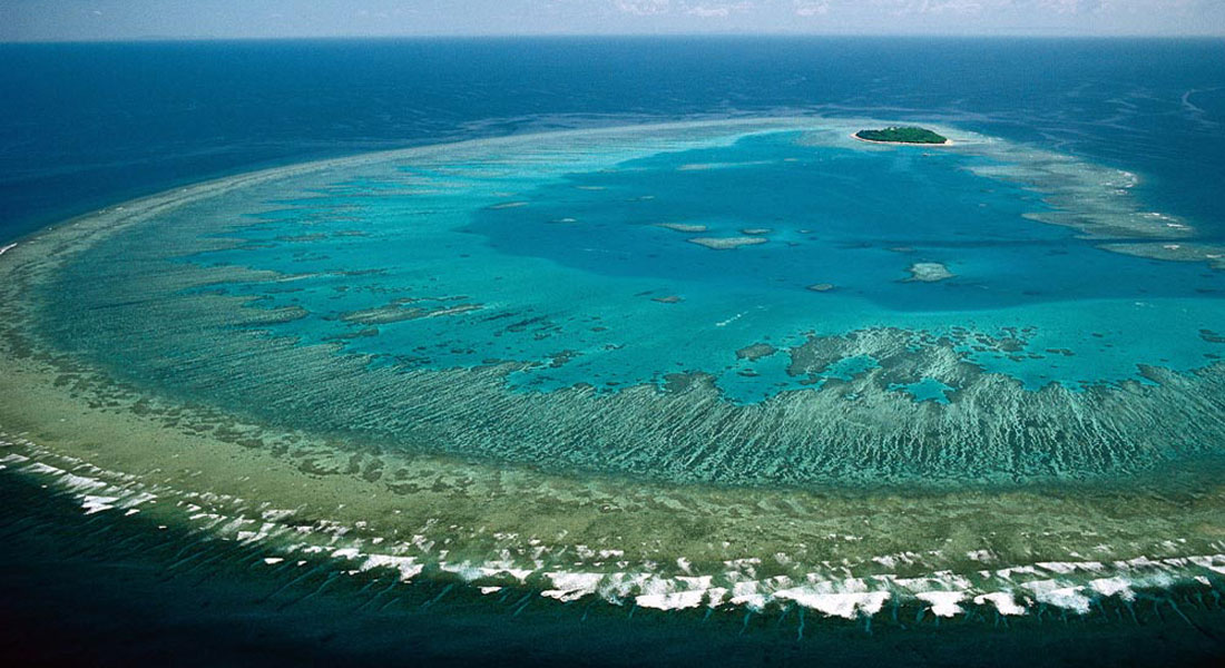 Great Barrier Reef Superyacht Australia; citizen scientists are needed for the Great Reef Census Project